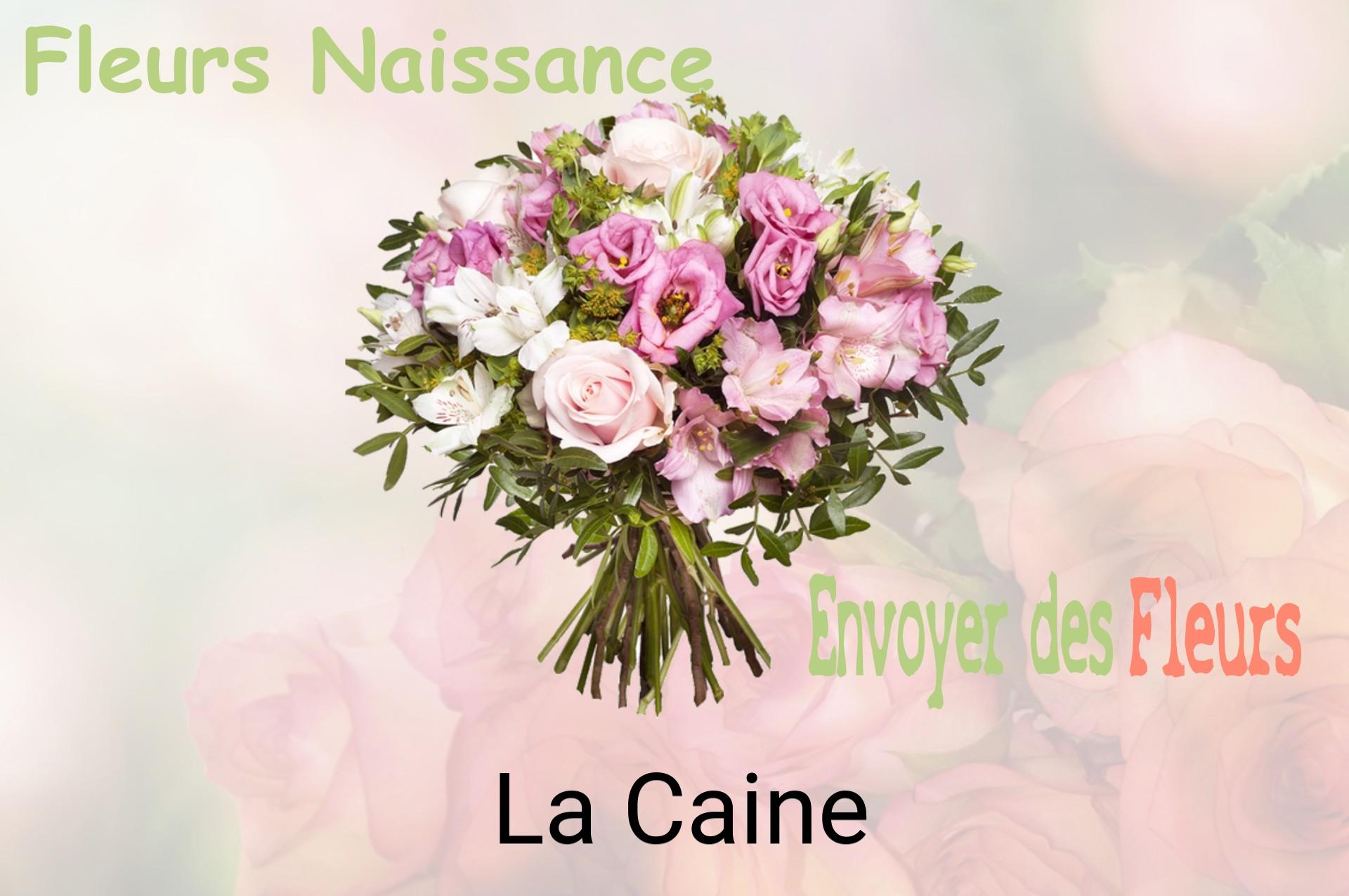Bouquet de fleurs de naissance livré à La Caine